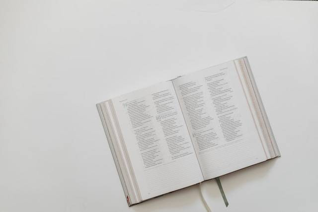 Ilustrasi pengertian dan antonim kovergen. Foto: Unsplash/Sixteen Miles Out