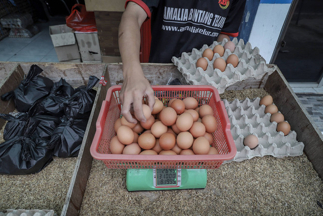 Pekerja menyortir telur di sebuah kios agen telur di Kalibata, Pancoran, Jakarta Selatan, Kamis (18/5/2023). Foto: Jamal Ramadhan/kumparan