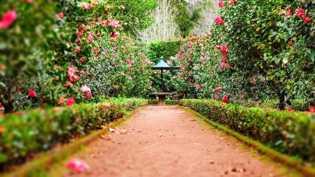 Kata-kata tentang Kebun, Sumber Unsplash Ignacio Correia
