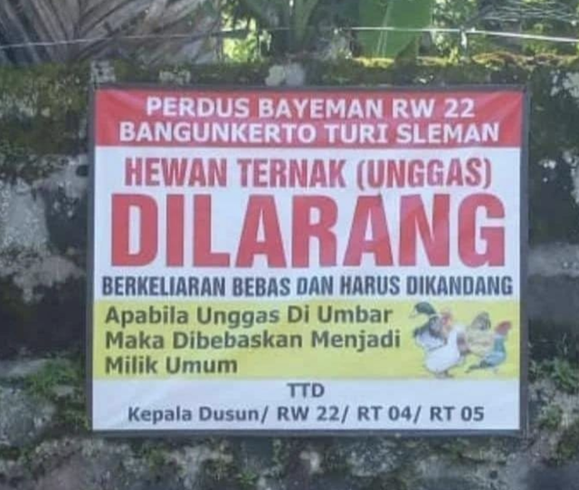 Poster larangan unggas berkeliaran. Dok: Ist.