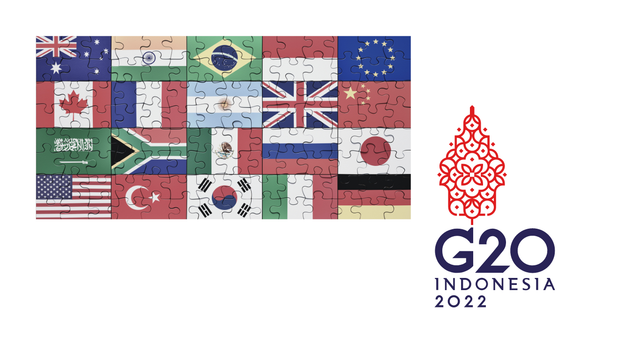 Logo G20 Indonesia dan negara yang tergabung (dokumentasi pribadi)
