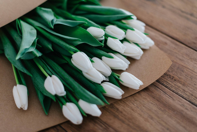 Ilustrasi Gombalan Bunga Tulip, sumber foto (Roman Kraft) by unsplash.com