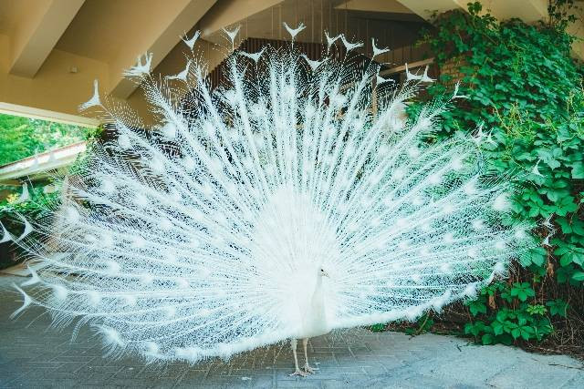 Ilustrasi Eco Green Park. Sumber: Pixeles/ Sonic