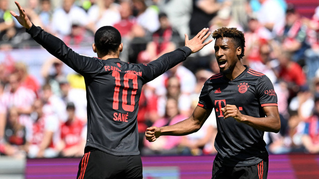 Leroy Sane (kiri) dan Kingsley Coman berselebrasi saat laga FC Koeln vs Bayern Muenchen dalam laga pekan ke-34 Liga Jerman 2022/23 di RheinEnergieSTADION pada 27 Mei 2023. Foto: CHRISTOF STACHE / AFP