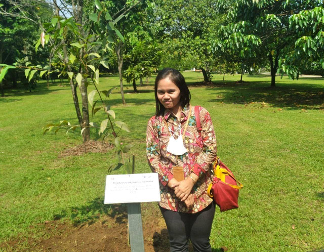 Peneliti Ahli Madya BRIN, Henti Hendalastuti Rachmat berfoto disamping pohon keruing atau dipterocarpus cinereus.