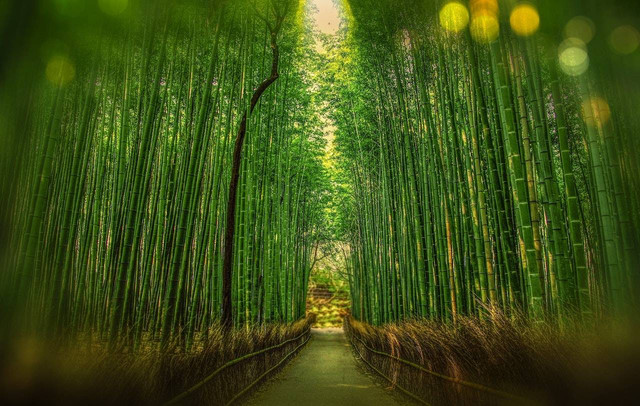 Ilustrasi tempat wisata long weekend di Surabaya. Sumber: Pexels/Pixabay