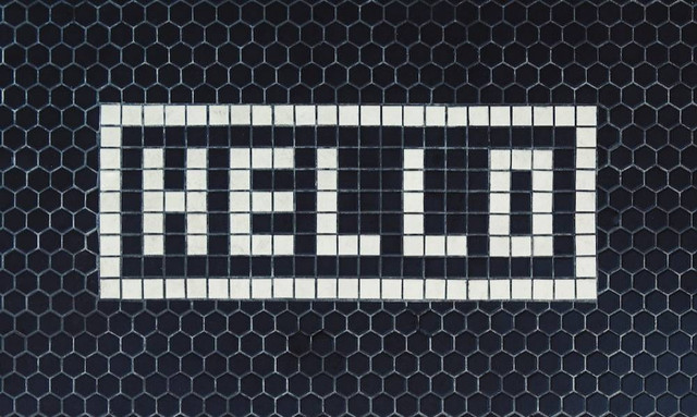 Ilustrasi Hewan yang Rajin     Sumber www.unsplash.com