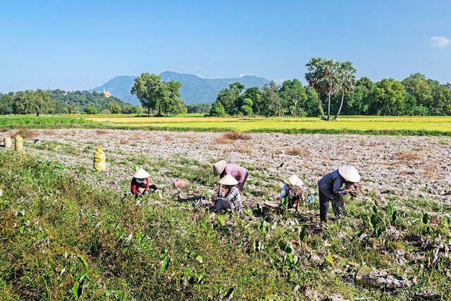 Ilustrasi Kekurangan Sistem Ekonomi Tradisional. Foto: Pexels.com/Văn Long Bùi