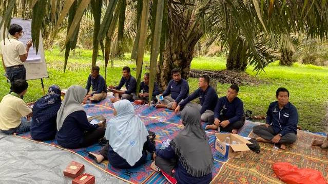 Musim Mas Group sedang memberikan pelatihan kepada para petani swadaya di Siak, Riau, Rabu (7/6).  Foto: Dok. Istimewa