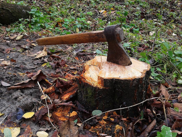 Ilustrasi contoh peralatan pada zaman neolitikum. Sumber: Pavlofox/pixabay.com 