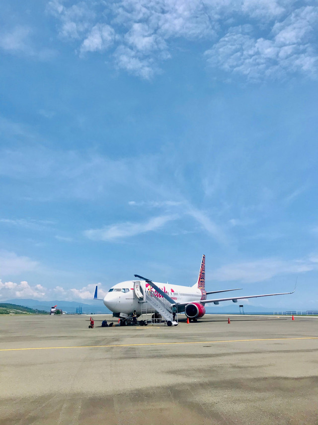 Ilustrasi Batik Air. Foto: sukandar13/Shutterstock