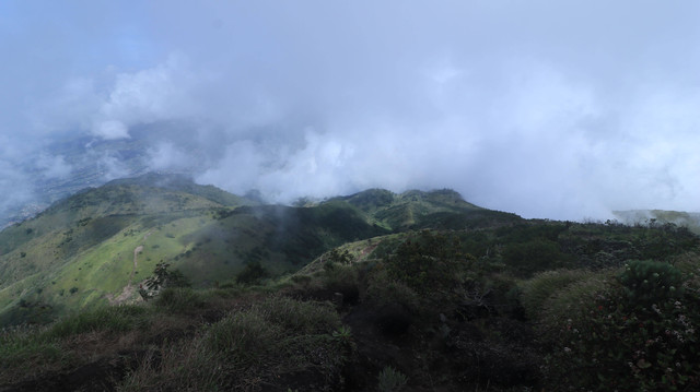 Taman Nasional Gunung Merbabu. Muhammad Thoriq Nailul Author