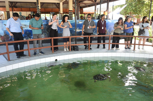 Suasana di Turtle Conservation and Education Center (TCEC) di Pulau Serangan - IST