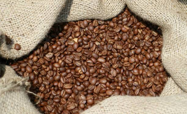 Biji Kopi Indonesia ( Foto: Milik https://www.istockphoto.com/en/photo/roasted-coffee-beans-gm1177573918-328794663?phrase=biji%20kopi)