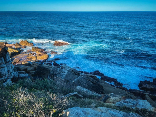 Royal National Park di New South Wales. Foto: Shutterstock