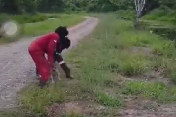 Anjing dilempar hidup-hidup ke rawa yang terdapat buaya di Nunukan, Kalimantan Utara. Foto: Dok. Istimewa