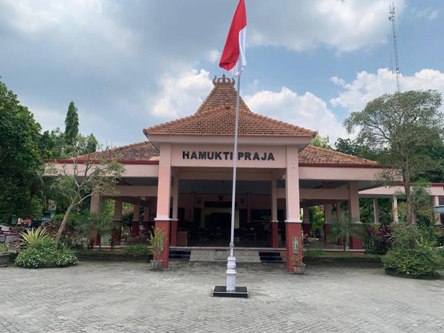 Kecamatan Sambeng Lamongan Dikelilingi Hutan, Hidup Damai Bersama Burung-burung Beterbangan