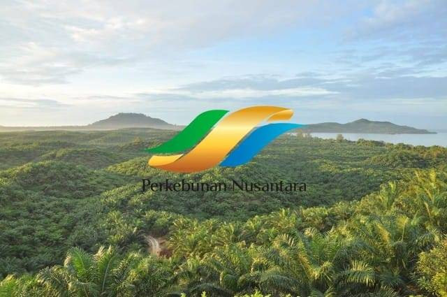 PT Perkebunan Nusantara. Foto: Dok. PTPN XIII