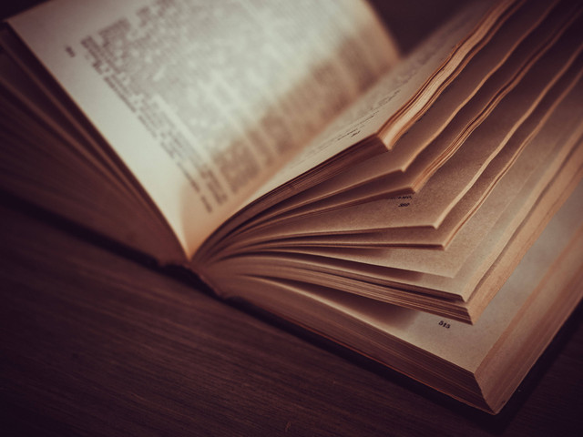 Ilustrasi Sinonim Tamsil. Foto: dok. Roman Trifonov (Unsplash)