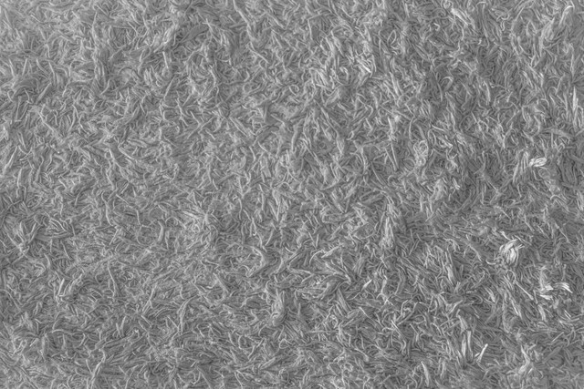 Ilustrasi serat alam. Foto: Pexels.com