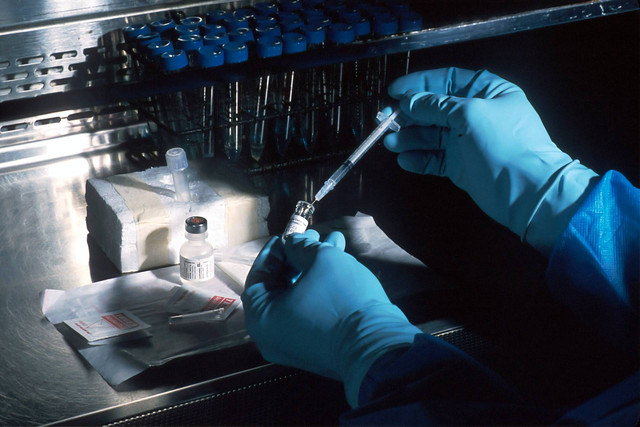 Ilustrasi Pengaruh rekayasa genetic terhadap sumber daya protein hewani adalah. (Foto: National Cancer Institute | Unsplash.com)