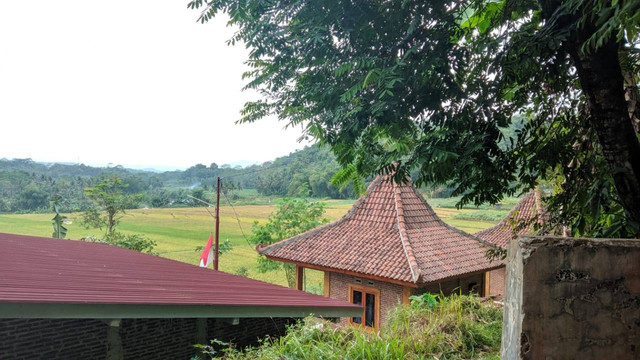 Pemandangan Cottage Dan Pendapa Adipati Kandhadhaha
