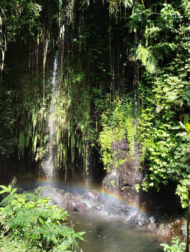 Curug Widodari jumat (9/6/23) Sumber: Dokumentasi Penulis
