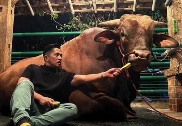 Irfan Hakim tengah memberi makan Wariso. Foto: Instagram/irfanhakim75