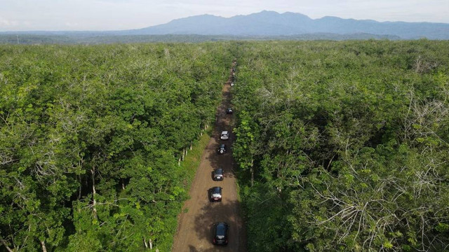 Gunung Simbolon, Minggu (25/6/2023). Foto: Dok. Istimewa