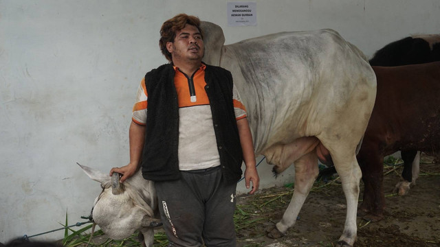 Salah seorang penjagal sapi kurban di Masjid Gedhe Kauman, Muhammad Deni Kristanto, befoto dengan sapi kurban milik Sultan HB X, Suseno. sebelum disembelih, Selasa (27/6). Foto: Arif UT
