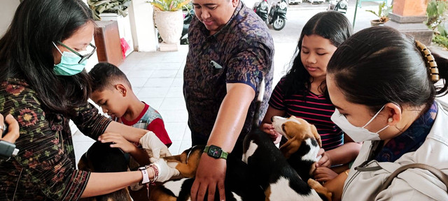 Petugas mengecek kesehatan hewan yang akan divaksin ant-rabies, Selasa (7/6).
 Foto: Denita BR Matondang/kumparan