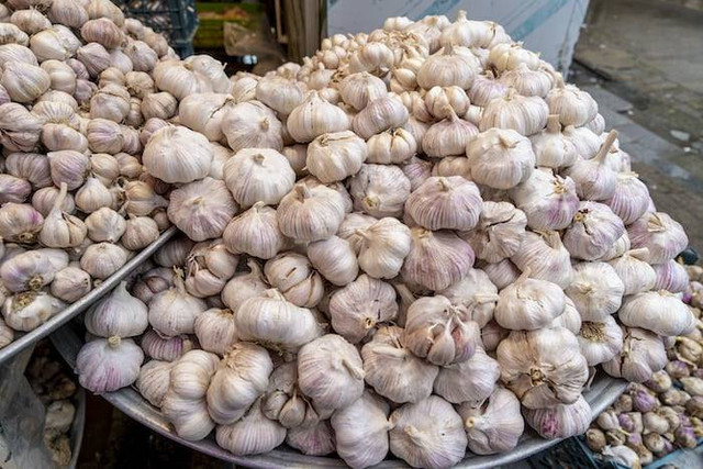 Ilustrasi manfaat bawang putih bakar. Sumber: unsplash.com/ Akbar Nemati