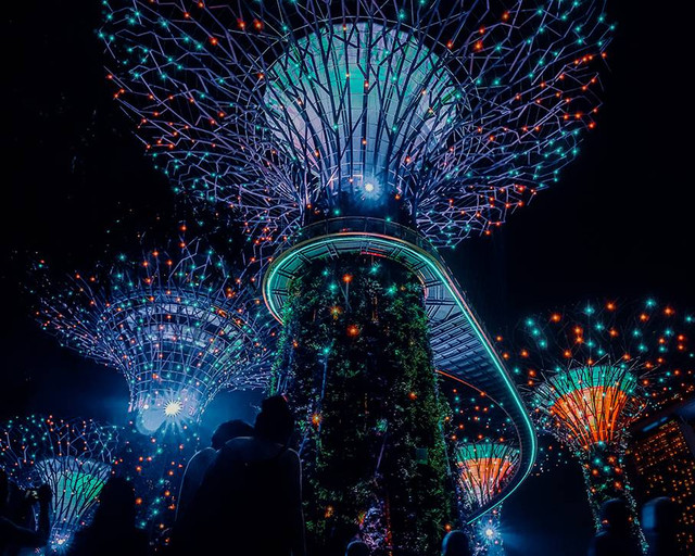 Ilustrasi apa saja yang ada di Gardens By The Bay. Sumber: www.unsplash.com