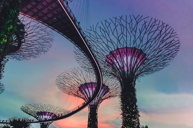Ilustrasi tips ke Garden By The Bay. Sumber: Unsplash/ Victor.