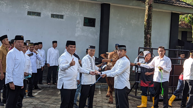 KSAL Muhammad Ali menyerahkan sapi kurban ke Korps Marinir, Kamis (29/6).  Foto: Jonathan Devin/kumparan