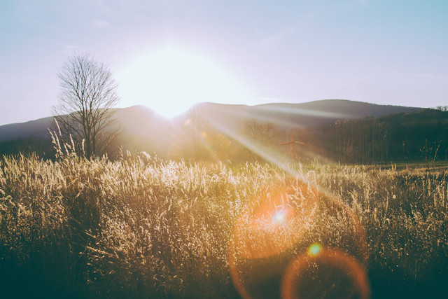 Kata Mutiara Pagi yang Cerah, Foto Hanya Ilustrasi: Unsplash/Dapo Oni
