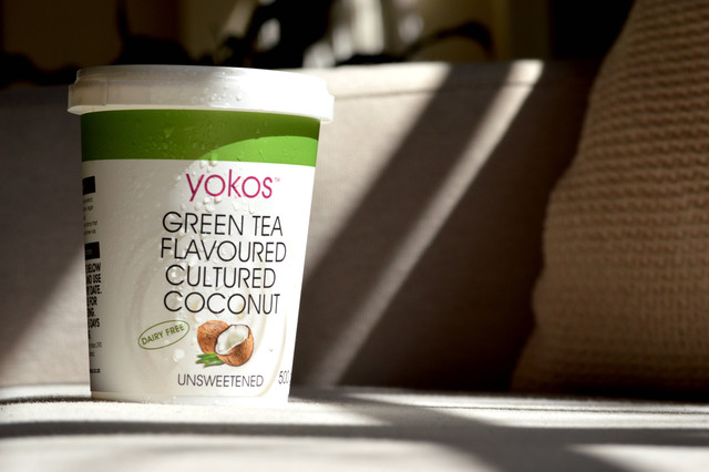 Ilustrasi Apakah Kucing Boleh Makan Yoghurt. SUmber: Unsplash