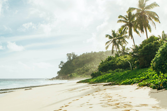 Ilustrasi Daya Tarik Pantai Pelang Trenggalek hingga Harga Tiket Masuknya. Foto: Unsplash/Nenad Radojčić.