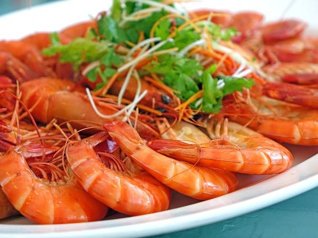 Ilustrasi apakah kucing boleh makan udang. Foto: Pixabay