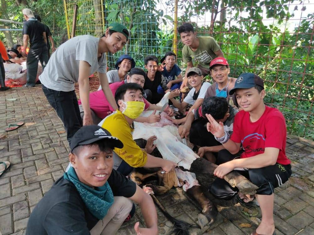Pemotongan Hewan Kurban ( Foto: Dokumentasi Pribadi )