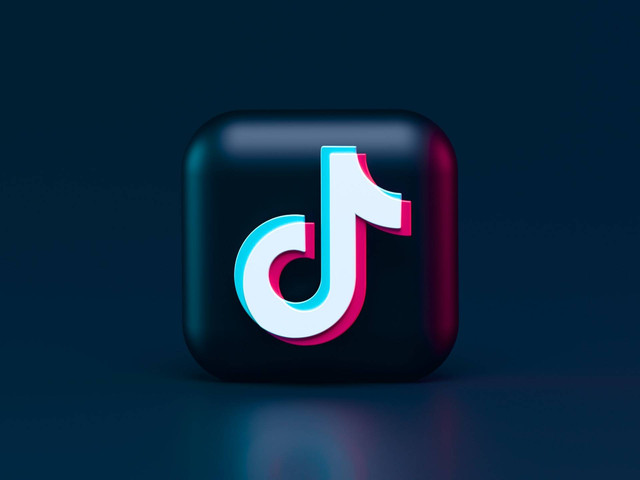 Ilustrasi Bio Tiktok Aesthetic, Foto Unsplash Alexander Shatov