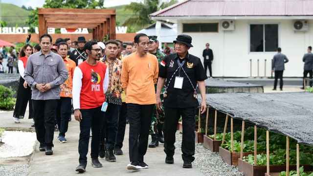 Presiden Jokowi mengunjungi Waibu Agro Edu Tourism milik Papua Youth Creative Hub (PYCH) binaan BIN di Kampung Kwadeware, Distrik Waibu, Kabupaten Jayapura, Papua, Jumat (7/7/2023). Foto: Dok. Istimewa