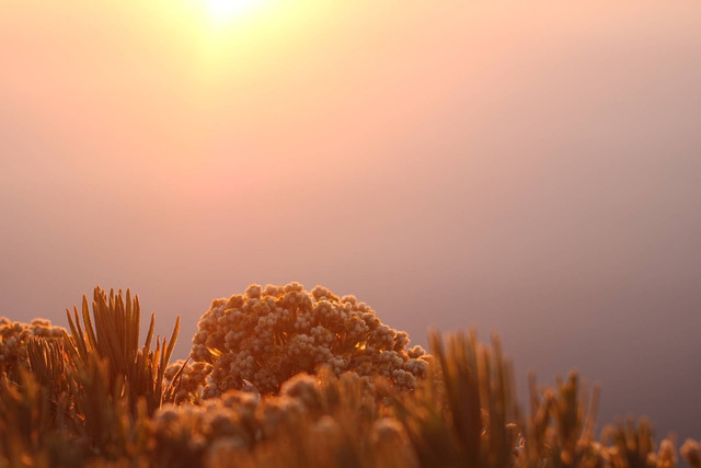 sumber : foto pribadi 02/06/23