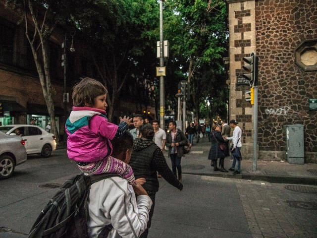 Ilustrasi mitigasi. Foto: Pexels