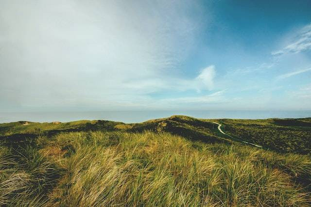 Ilustrasi Bukit Moko, sumber foto: pexels.com/Artur Roman