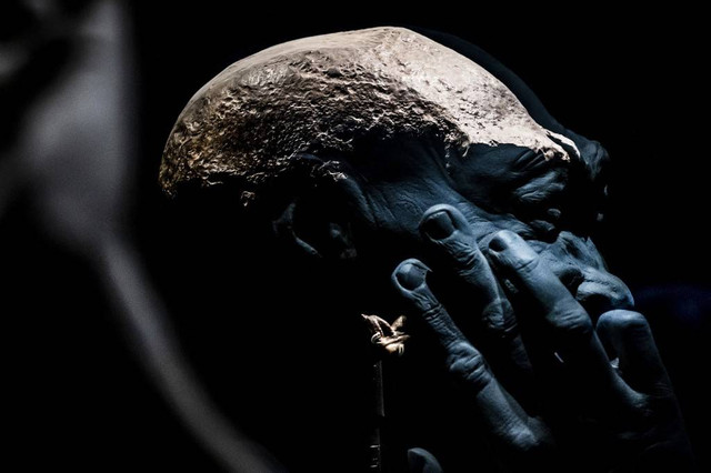 Salah satu bagian dari Java Man koleksi Dubois di museum Naturalis Leiden, Belanda.  Foto: REMKO DE WAAL / AFP