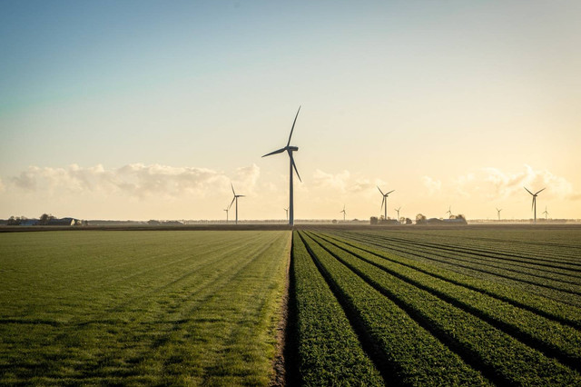 Transisi Energi Bersih (Foto : Unsplash)
