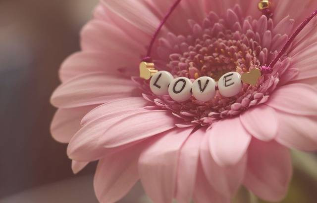 Ilustrasi cinlok. Foto: Pixabay