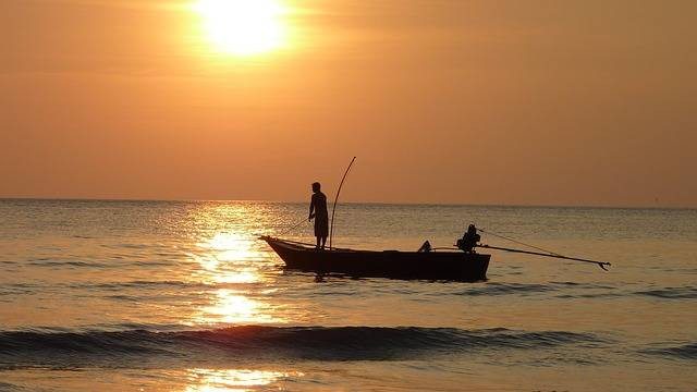 Ilustrasi cara mudah dapat ikan. Foto: Pixabay