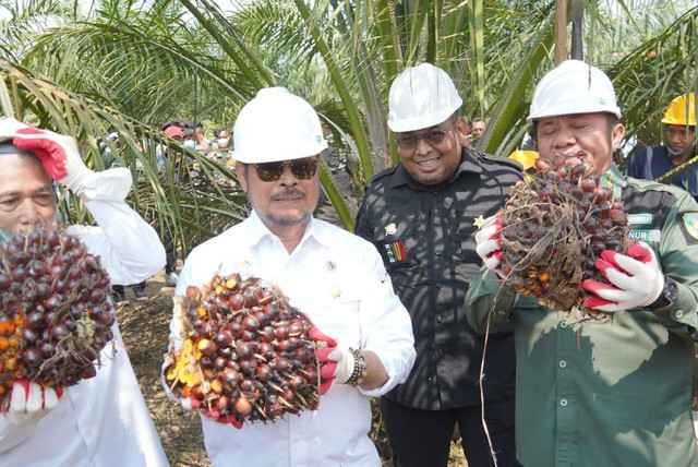 Mentan Syahrul Yasin Limpo saat panen perdana program PSR di Teluk Gelam, OKI, Sumsel.  Foto: Dok Kementan